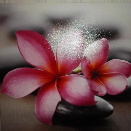 Airport Apartment Reval